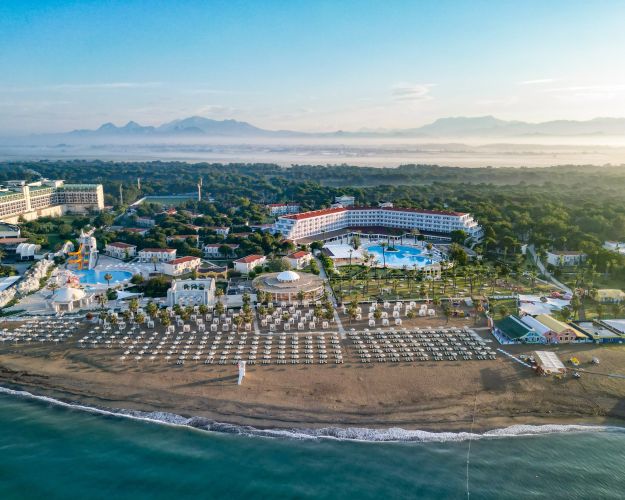 SELECTUM NOA BELEK